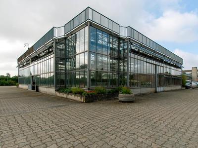 Stedelijke kassen Ransart - Charleroi (B)