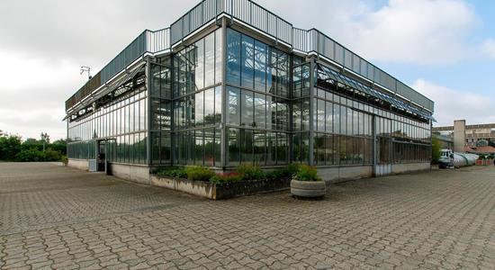 Gewächshäuser von Ransart - Charleroi (B)