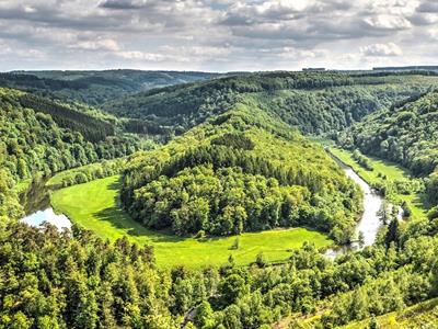 Lokal einkaufen - auch in Sachen Energie