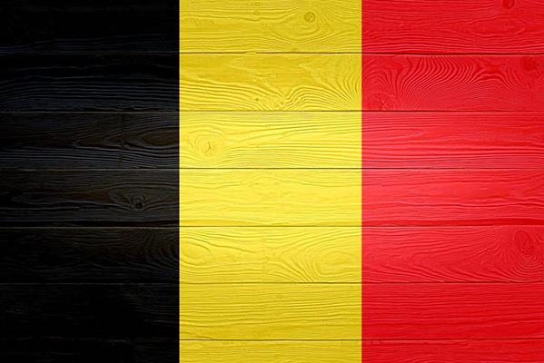 Primes et subsides chauffage biomasse en Belgique
