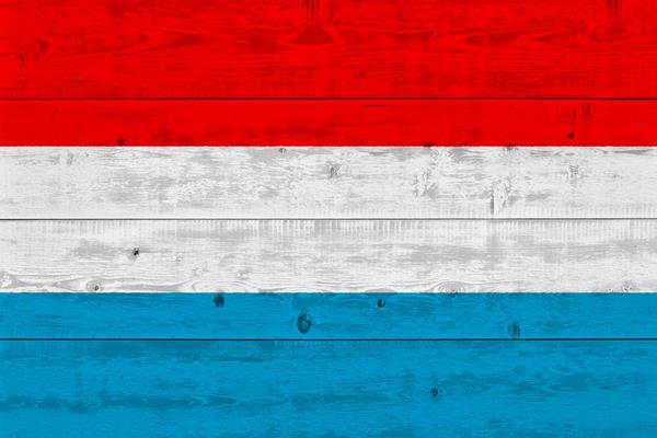 De financiële ondersteuningen in Luxemburg